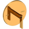 Polished Gold (PVD)