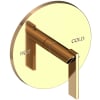 French Gold (PVD)