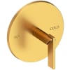 Satin Gold (PVD)