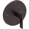 Venetian Bronze