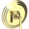 Polished Brass Uncoated (Living)