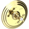 Polished Brass Uncoated (Living)