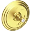 Satin Brass (PVD)