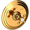 Polished Gold (PVD)