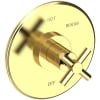 Polished Brass Uncoated (Living)