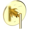 Forever Brass (PVD)