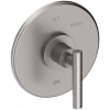 Stainless Steel (PVD)