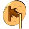 Polished Gold (PVD)