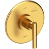 Satin Gold (PVD)