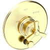 Forever Brass (PVD)