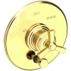 Polished Brass Uncoated (Living)