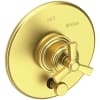 Satin Brass (PVD)