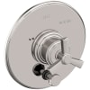 Polished Nickel