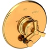 Polished Gold (PVD)