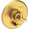 Satin Gold (PVD)