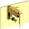 Polished Brass Uncoated (Living)