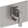 Stainless Steel (PVD)