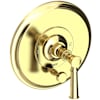 Polished Brass Uncoated (Living)