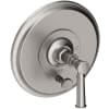 Stainless Steel (PVD)