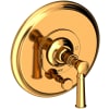 Polished Gold (PVD)