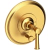 Satin Gold (PVD)
