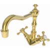 Polished Gold (PVD)