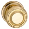 Unlacquered Polished Brass