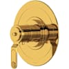 Unlacquered Brass