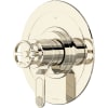 Polished Nickel