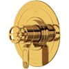 Unlacquered Brass