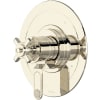 Polished Nickel