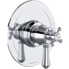 Polished Chrome