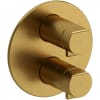Brushed Gold