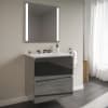 Tinted Gray Glass Vanity with Lyra Top