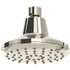 Polished Nickel