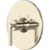 Polished Nickel