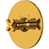 Unlacquered Brass