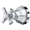 Polished Chrome