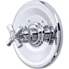 Polished Chrome