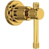 Unlacquered Brass