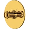 Unlacquered Brass