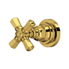 Unlacquered Brass