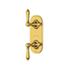 Unlacquered Brass