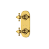 Unlacquered Brass