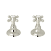 Polished Nickel