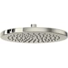 Polished Nickel