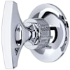 Polished Chrome