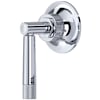Polished Chrome