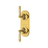 Unlacquered Brass