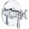 Polished Chrome